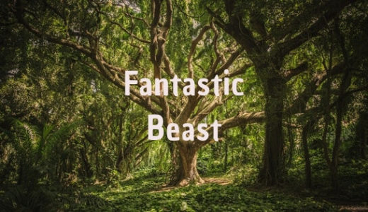 『ファンタスティック・ビーストと黒い魔法使いの誕生』感想|魔法生物を巡る旅を観たい!